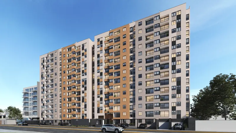 Gaviotas 176